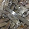 Hot Sell Frozen Fish loligo squid